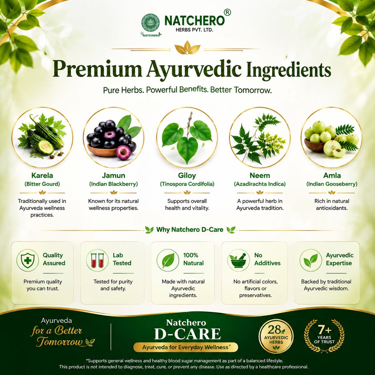Natchero D-Care (Control Sugar & Diabetes Naturally)