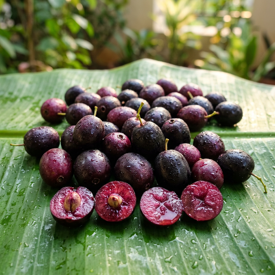 JAMUN